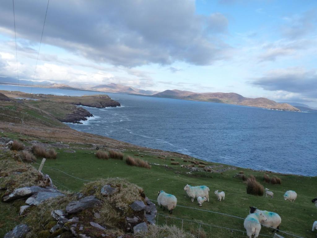 Skellig Cottages Ballinskelligs Esterno foto